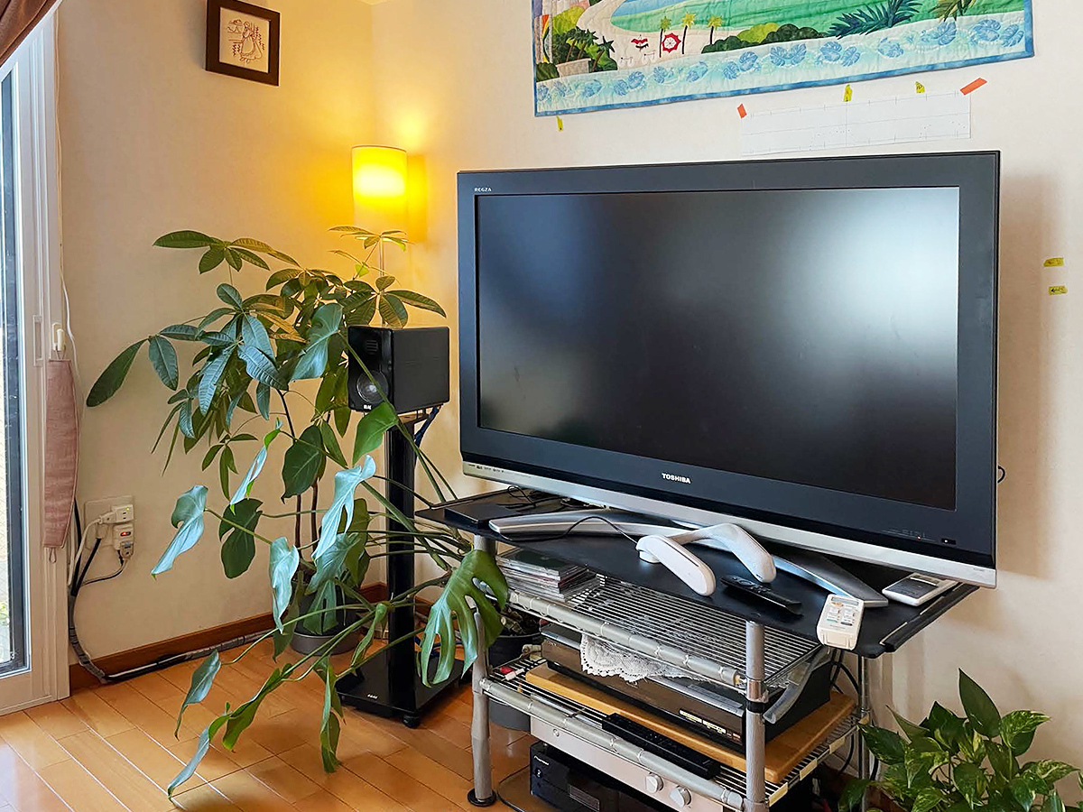 静岡県御殿場市でLGの65インチ有機ELテレビ(OLED65G1PJA)をGL工法のマンション壁面に壁掛け CATO施工事例1100