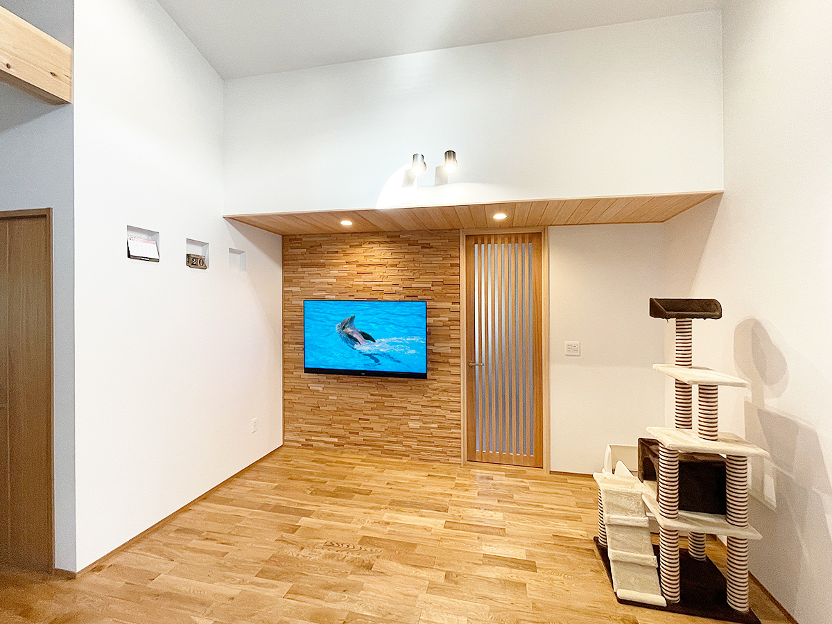テレビはお客様ご用意の55インチ有機ELテレビ。パナソニック ビエラTH-55HZ1800。