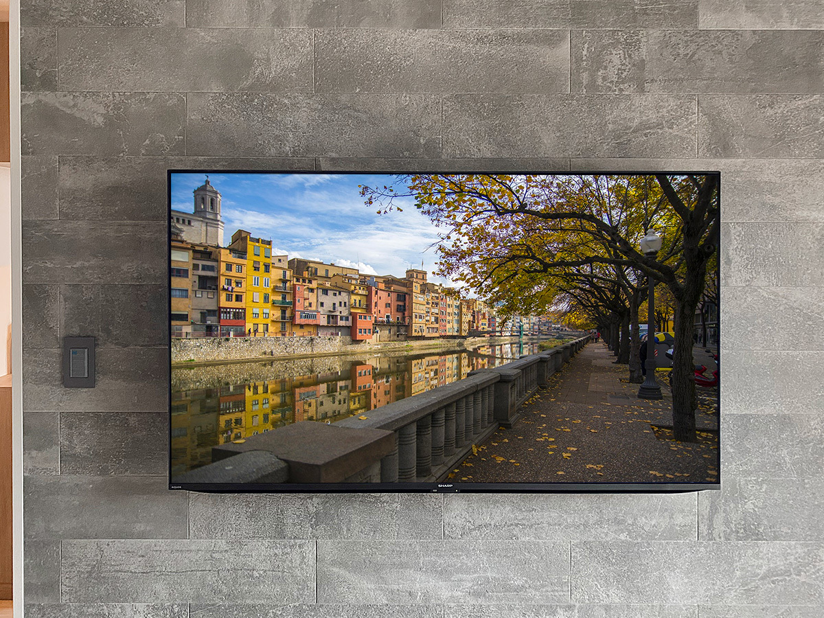 テレビはシャープアクオス4T-C55GN2。55インチ液晶テレビ。壁掛け時のサイズは横幅1232mm、高さ727mm、本体厚みは最大92mm。重量は15.5kg。