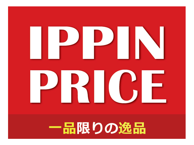 イッピンプライス 壁掛けテストやレンタルで数回使用した開封品を特別価格で販売